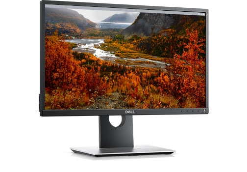 Dell Professional P2217H